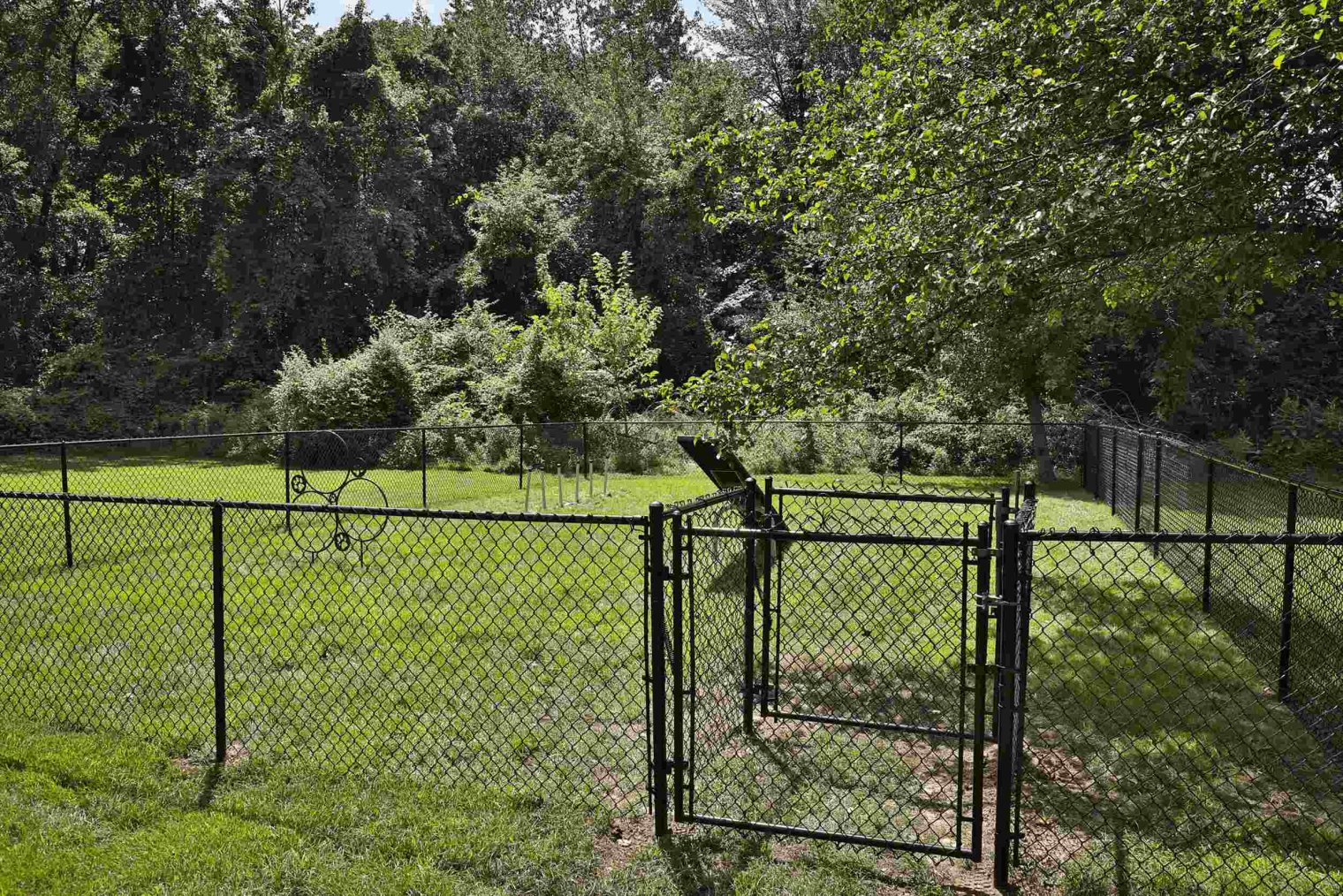 pet friendly patridge run apartments dog park 3 1